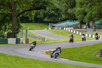 cadwell-no-limits-trackday;cadwell-park;cadwell-park-photographs;cadwell-trackday-photographs;enduro-digital-images;event-digital-images;eventdigitalimages;no-limits-trackdays;peter-wileman-photography;racing-digital-images;trackday-digital-images;trackday-photos